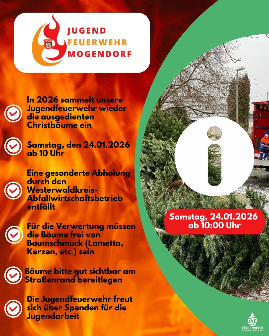 Weihnachtsbäume 2026 1