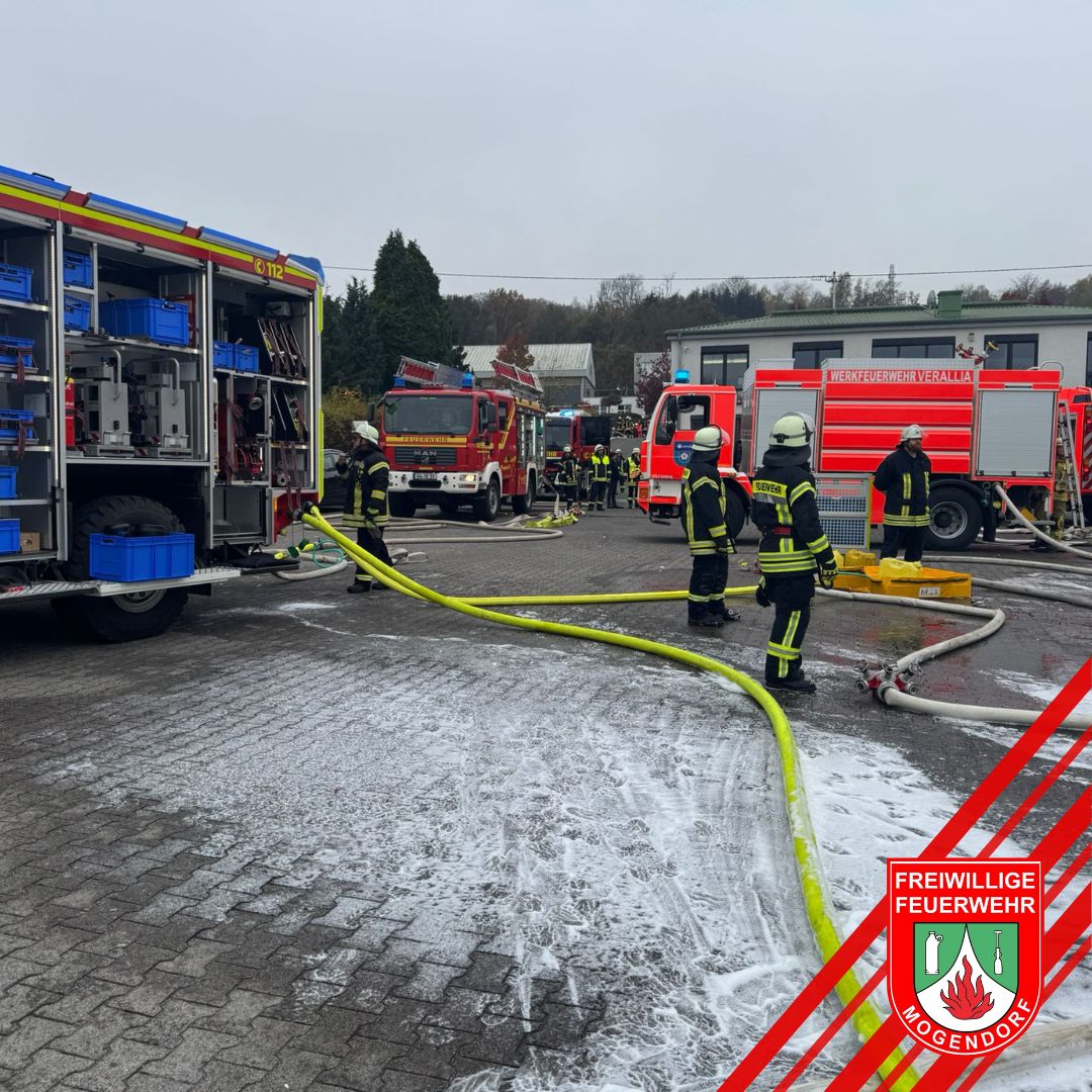 Hallenbrand beschäftigt Feuerwehren 