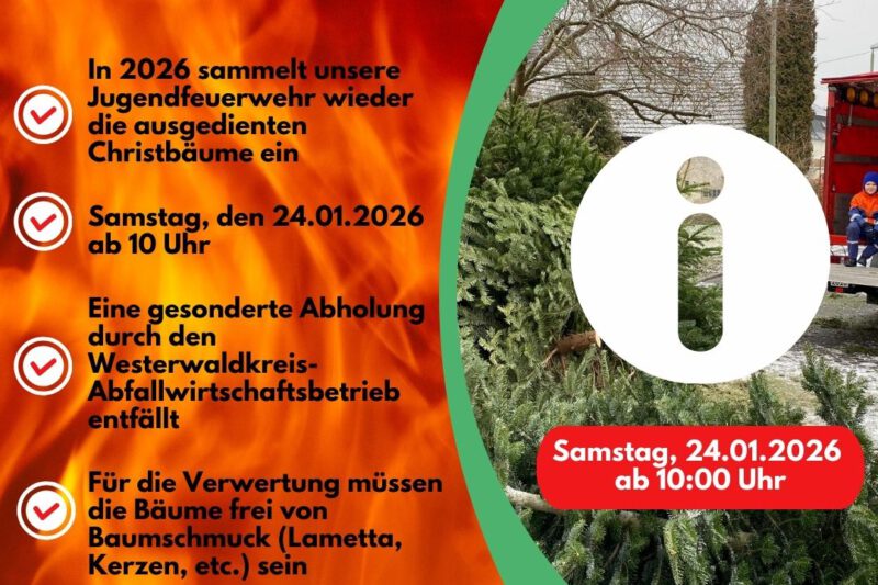 Einsammeln der Weihnachtsbäume