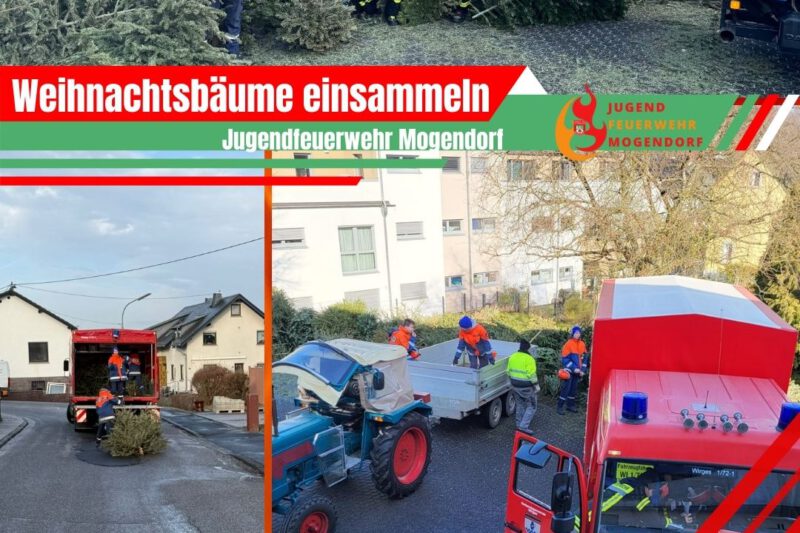 Jugendfeuerwehr sammelte Weihnachtsbäume in der Ortsgemeinde